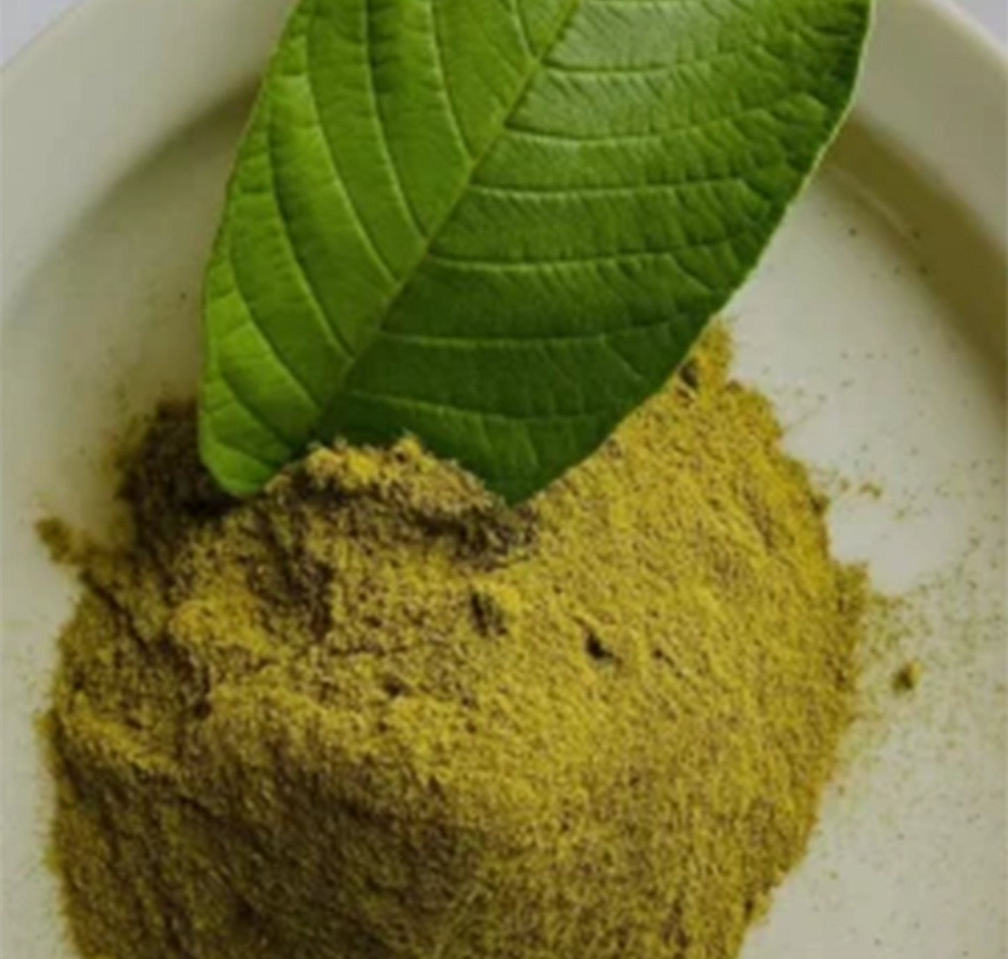 Guava Leaf Extract Powder