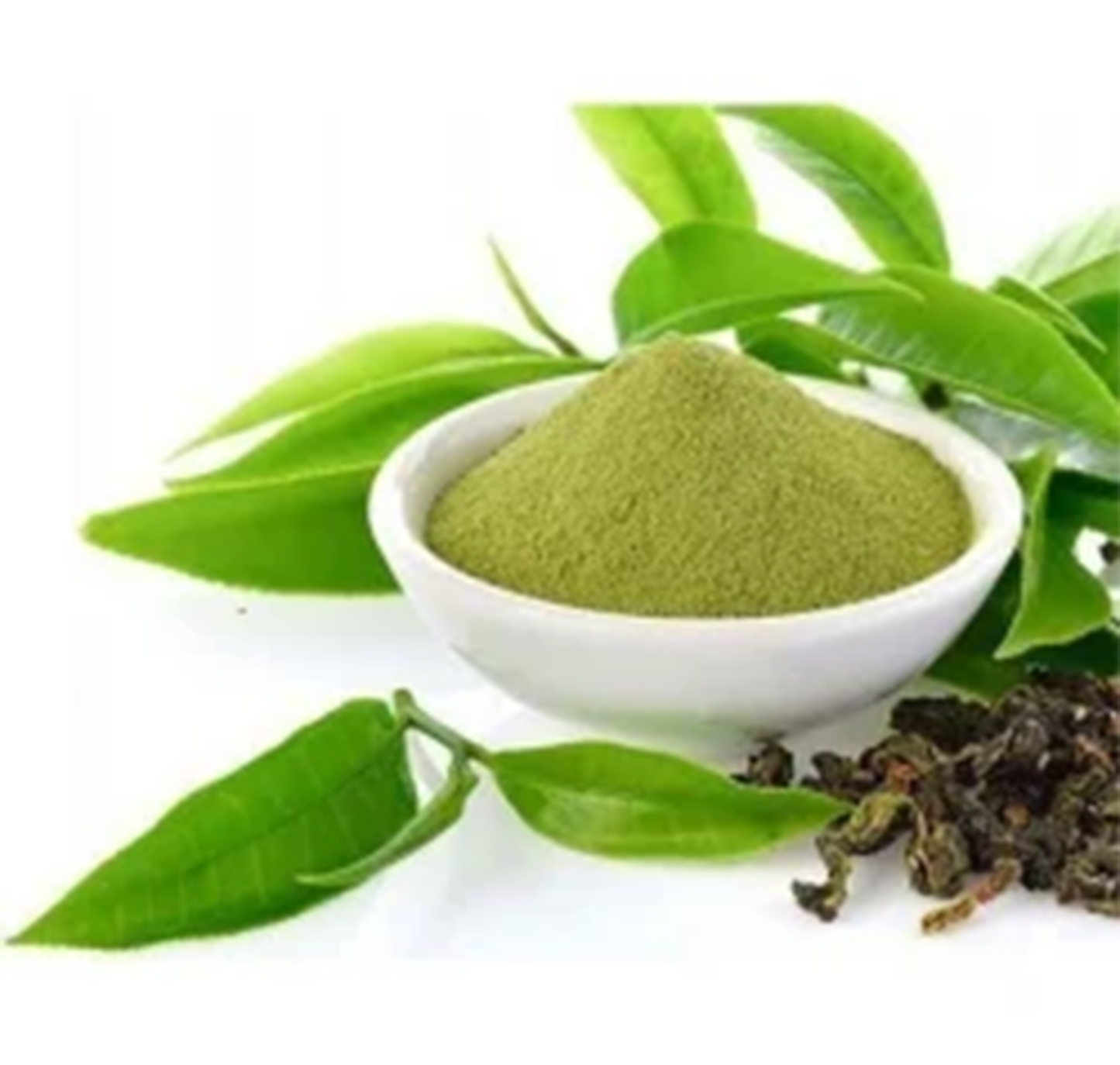 Green Tea Extract Powder