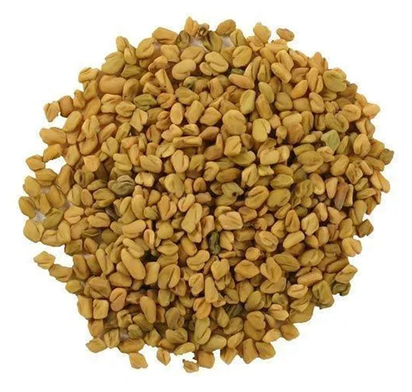 Fenugreek Seeds