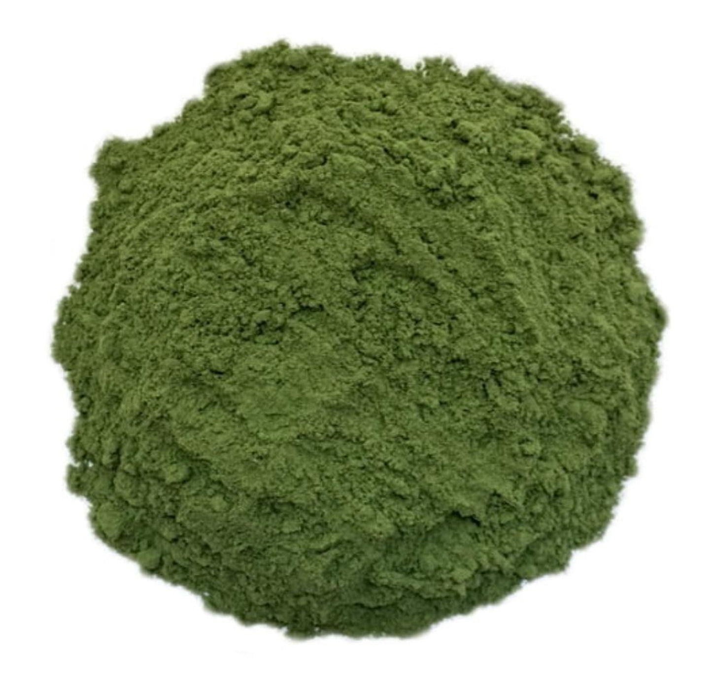 Urtica SP Extract Powder