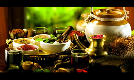 Power of Indian Herbals: Elevate Your Wellness Journey