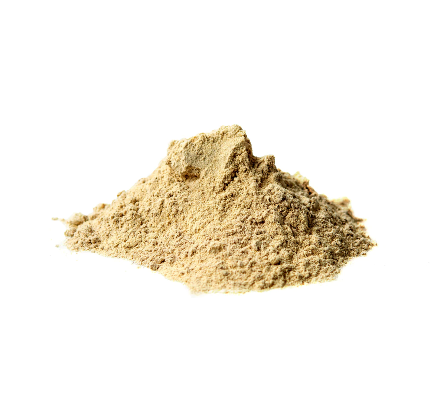 Astragalus Powder