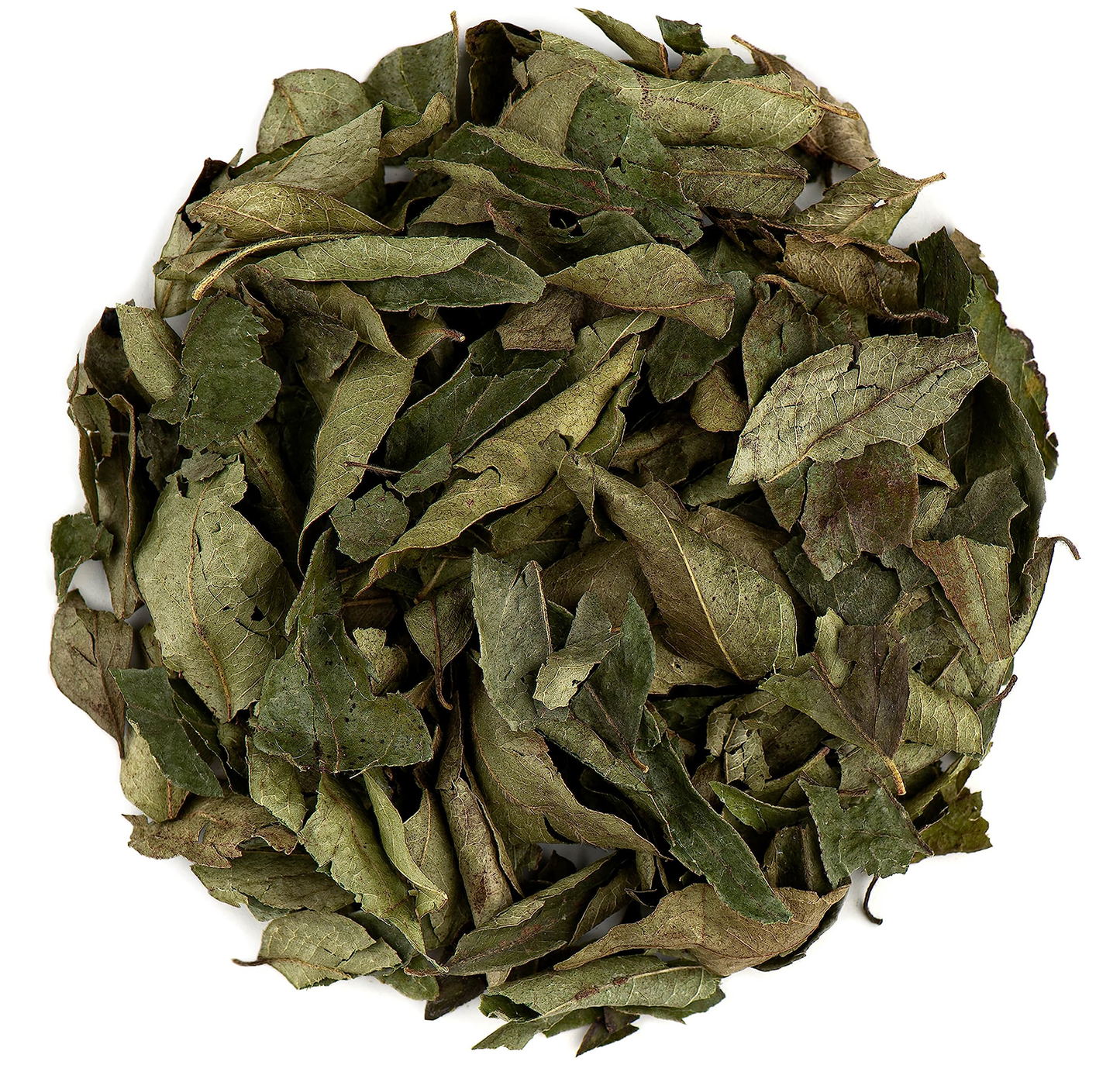 Curry Leaves Organic