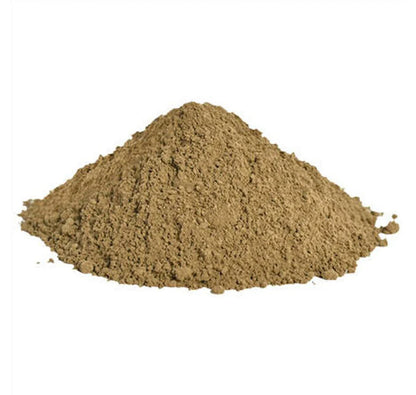 Bacopa Extract Powder