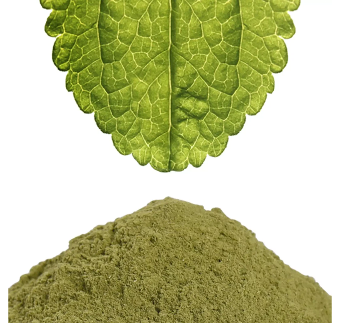 Stevia Powder