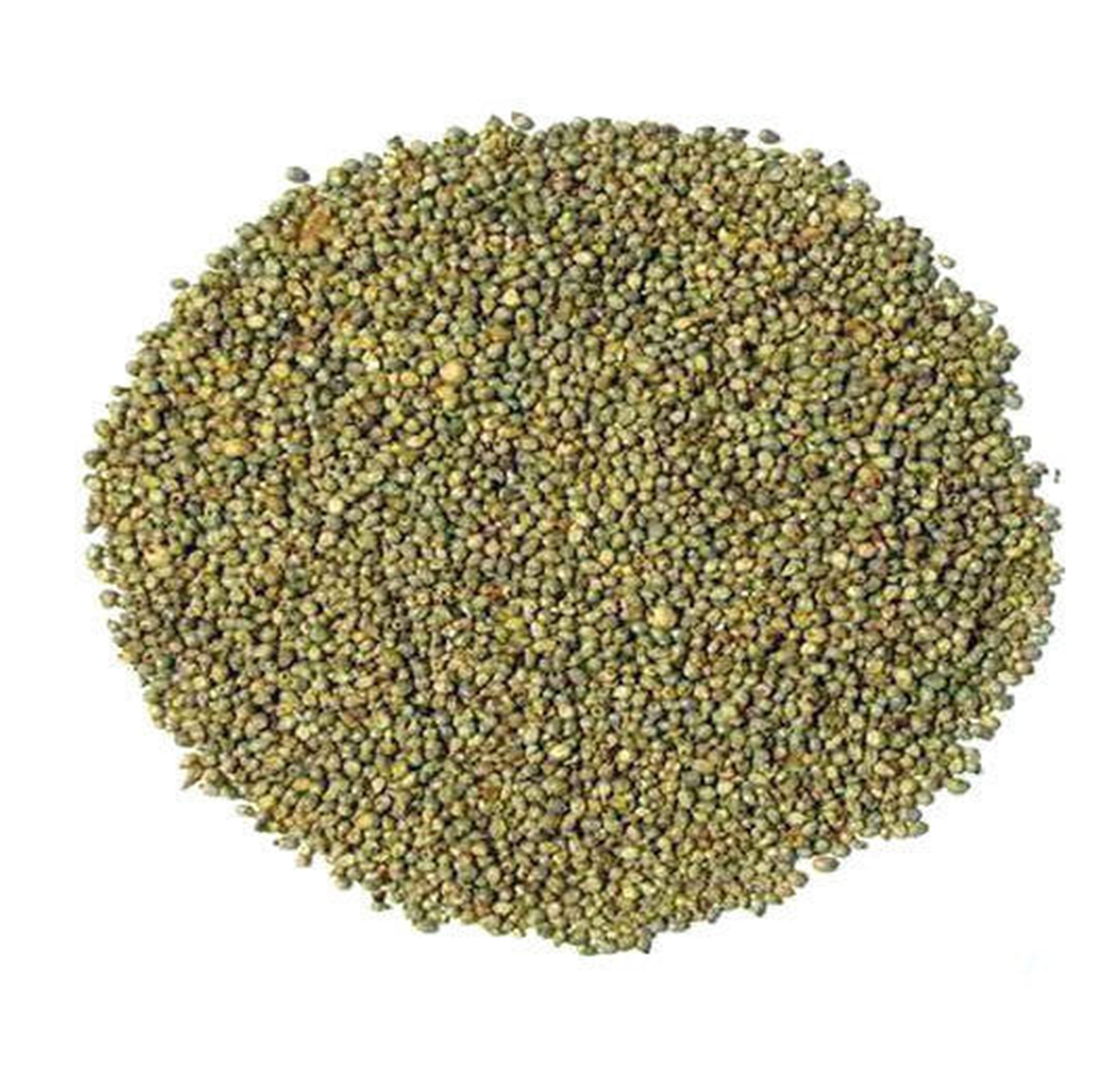 Pearl Millet