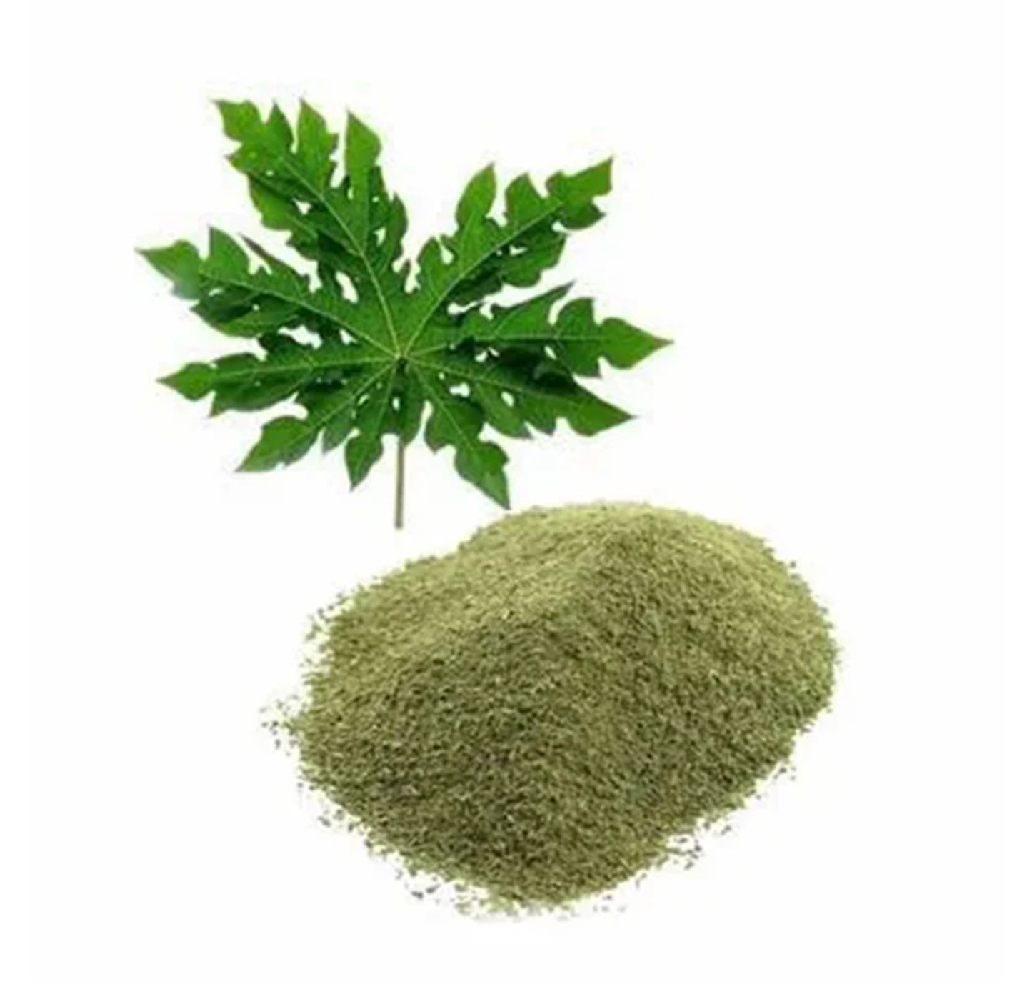 Papaya Leaf Extract Powder