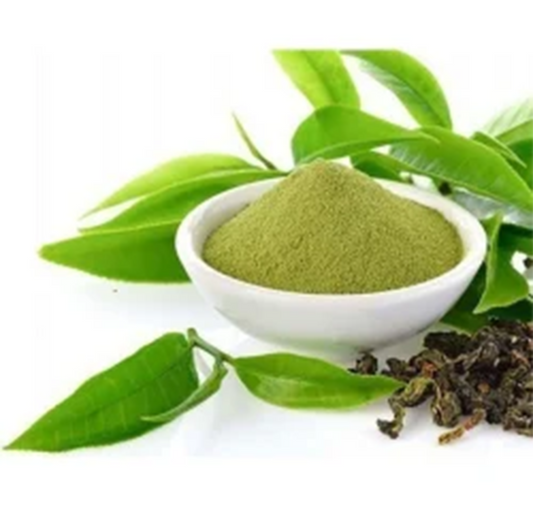 Green Tea Extract Powder