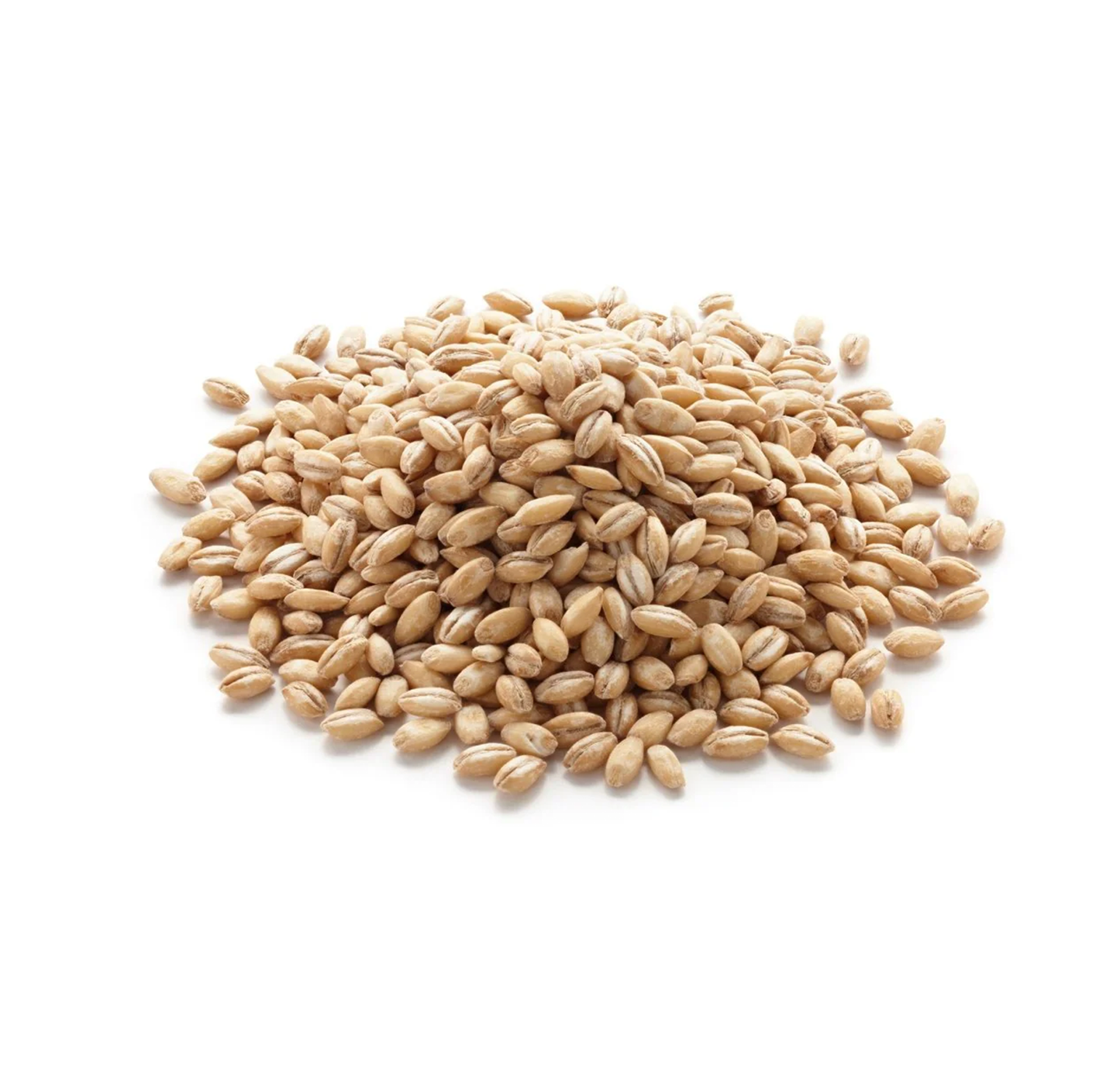 Barley (Jau)