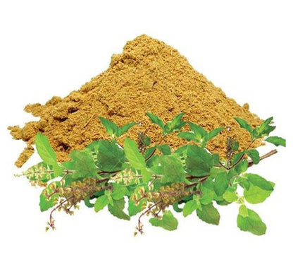 Tulsi Extract Powder