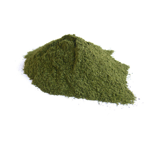 Alfalfa Extract Powder