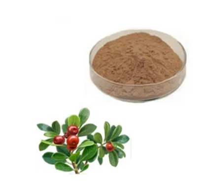 Uva Ursi Extract Powder