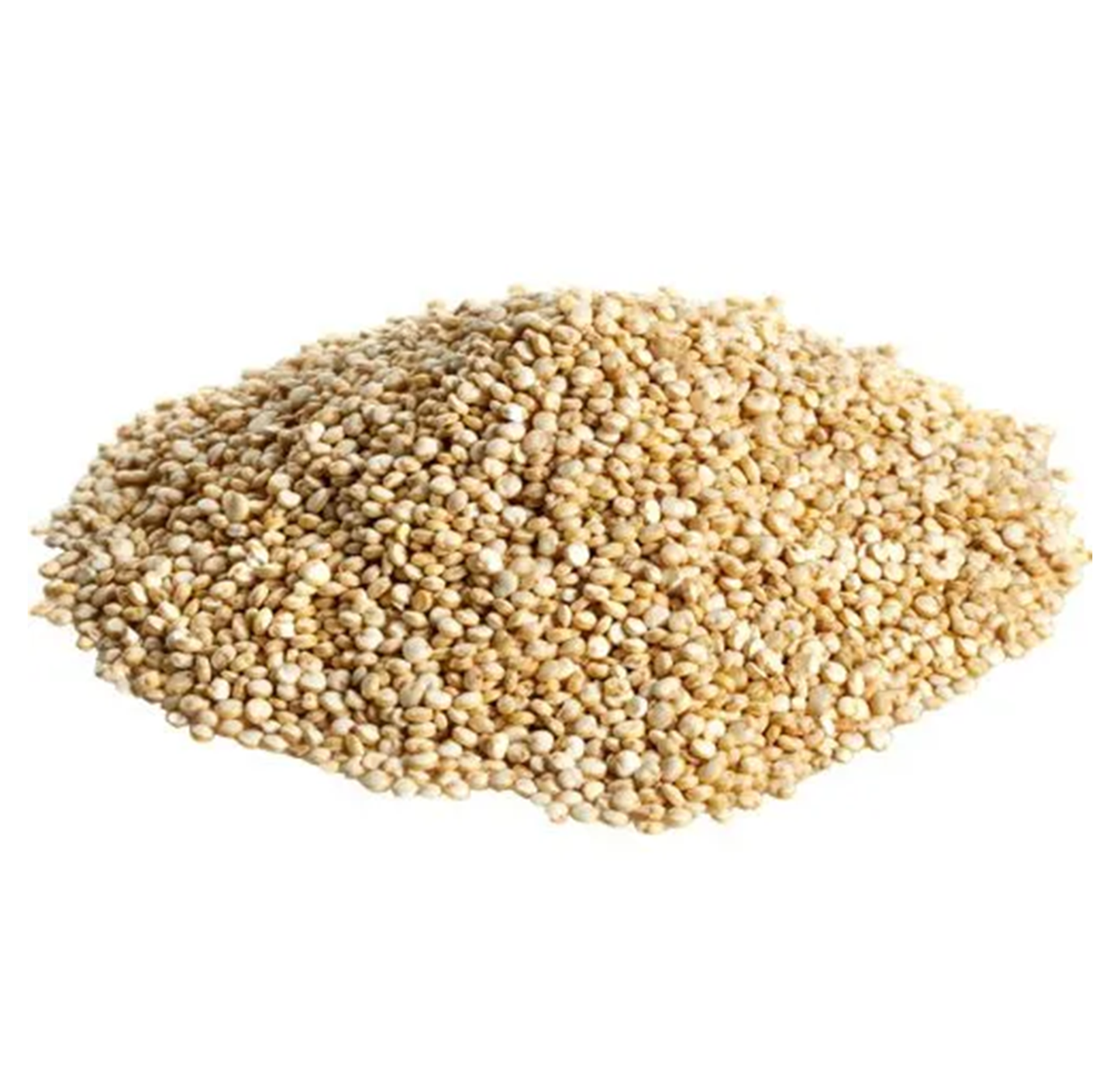 Quinoa Seeds | Natural Quinoa Seeds | Organic Quinoa Seeds