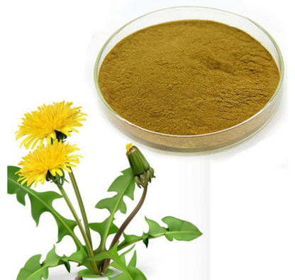 Dandelion Powder