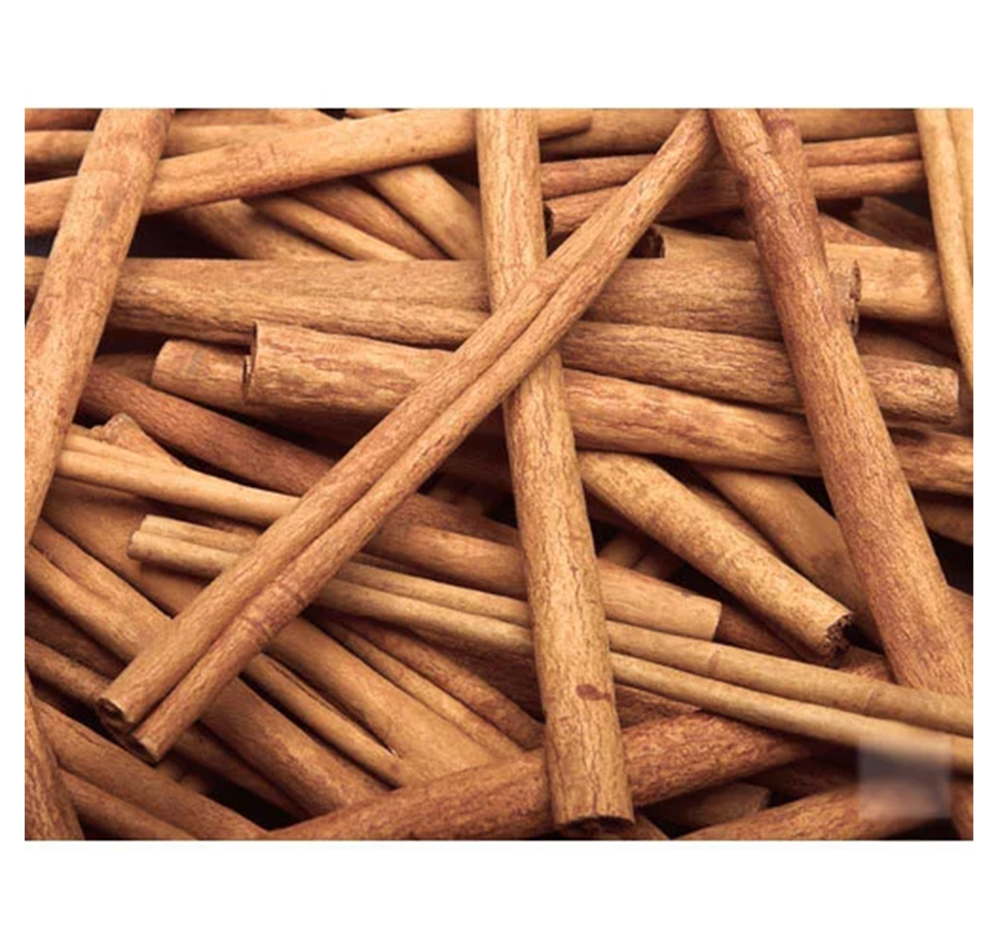 Cinnamon Sticks 12 Inches