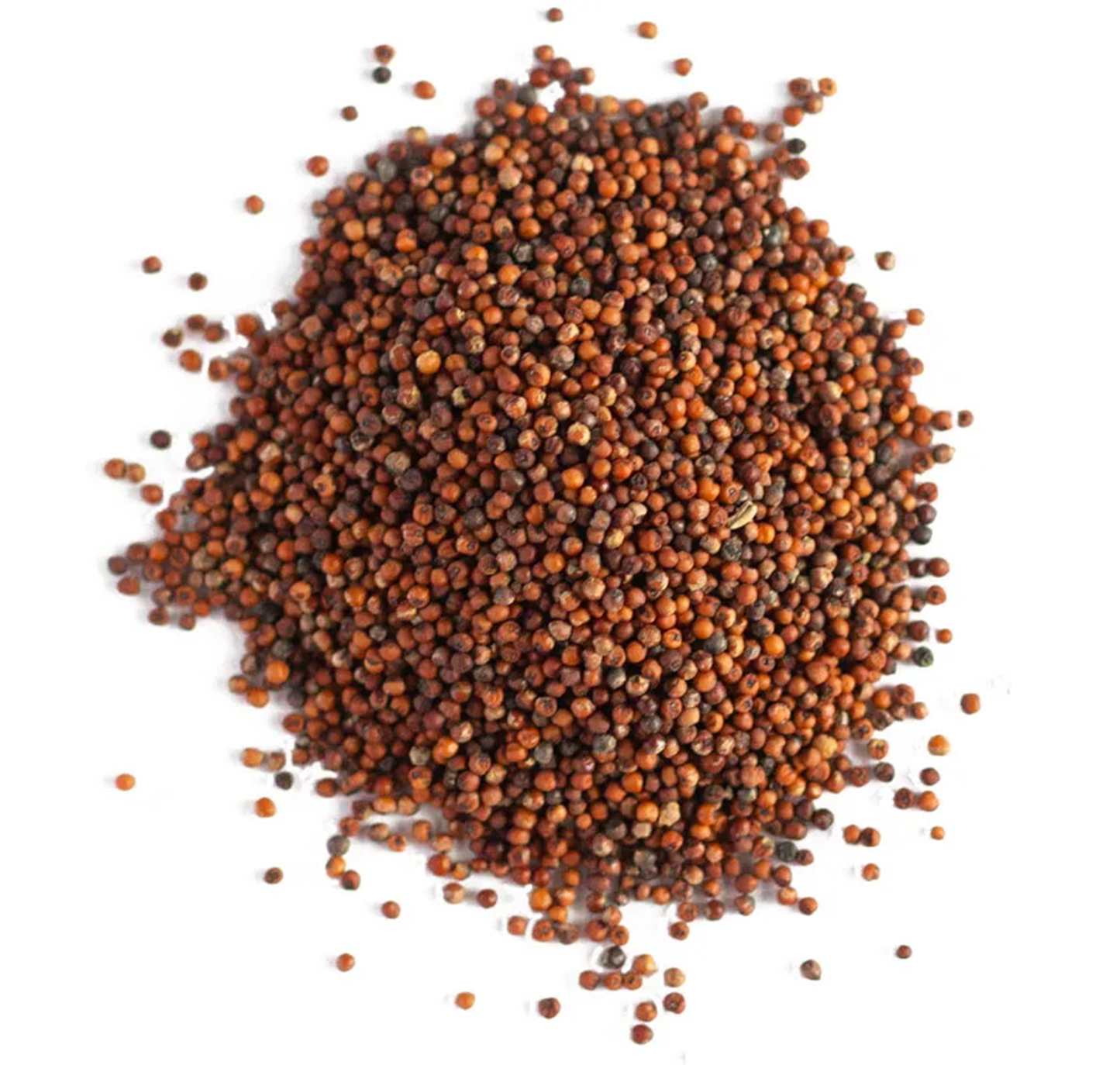 Finger Millet