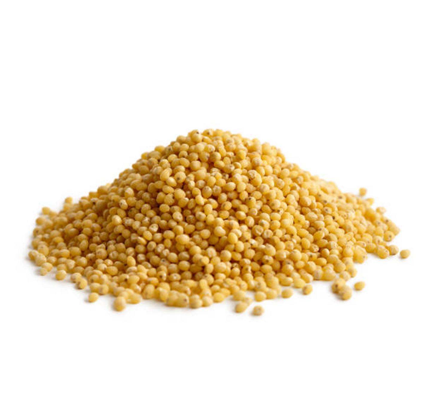 Foxtail Millet