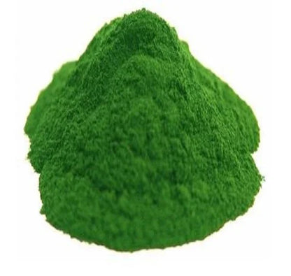 Chlorella Extract Powder