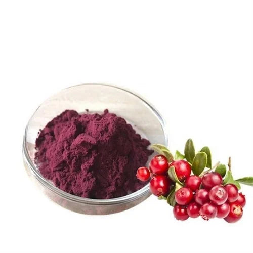 Cranberry Extract Powder