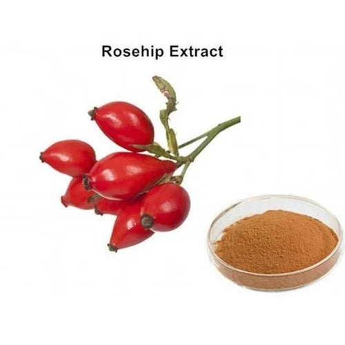 Rosehip Extract Powder